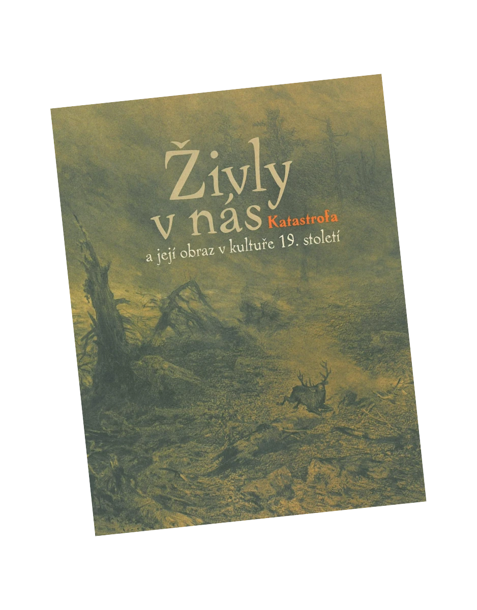 Živly v nás. Katastrofa a její obraz v kultuře 19. století publikace