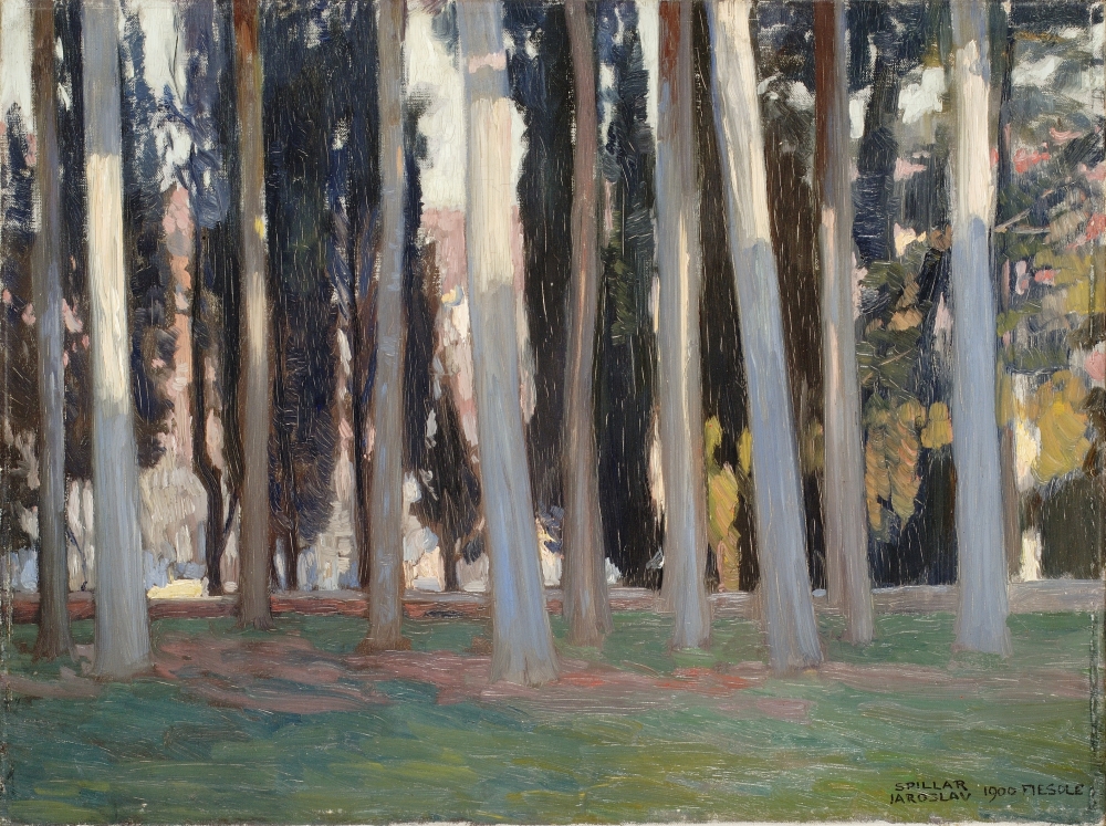 Jaroslav Špillar, Les,Fiesole, 1900, ZČG Jaroslav Špillar, Les,Fiesole, 1900, ZČG