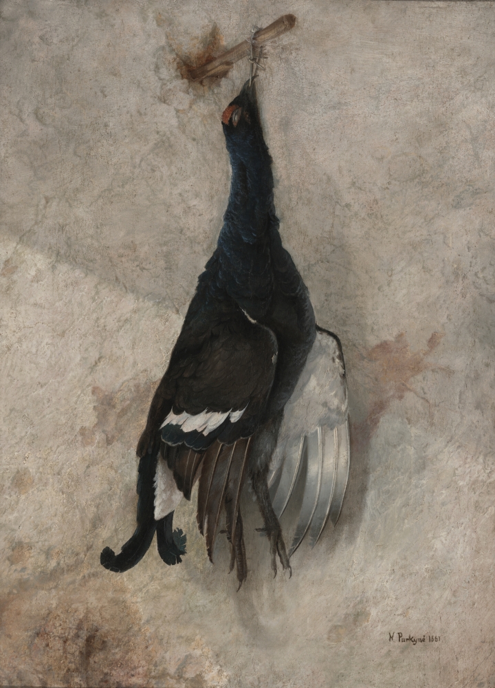Karel Purkyně, Zátiší s tetřevem, 1861, ZČG Karel Purkyně, Zátiší s tetřevem, 1861, ZČG
