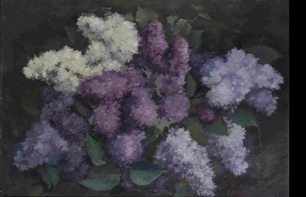Emil Holub, Kytice bezu, 1920, ZČG Emil Holub, Kytice bezu, 1920, ZČG