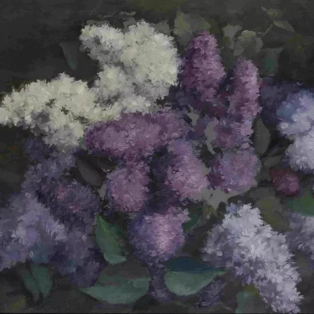 Emil Holub, Kytice bezu, 1920, ZČG