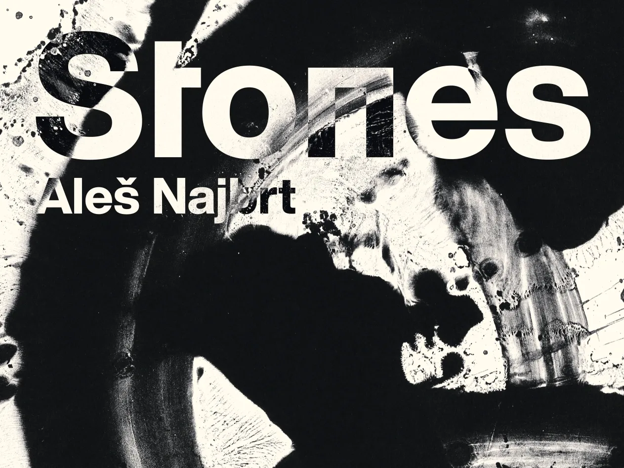 Aleš Najbrt – STONES